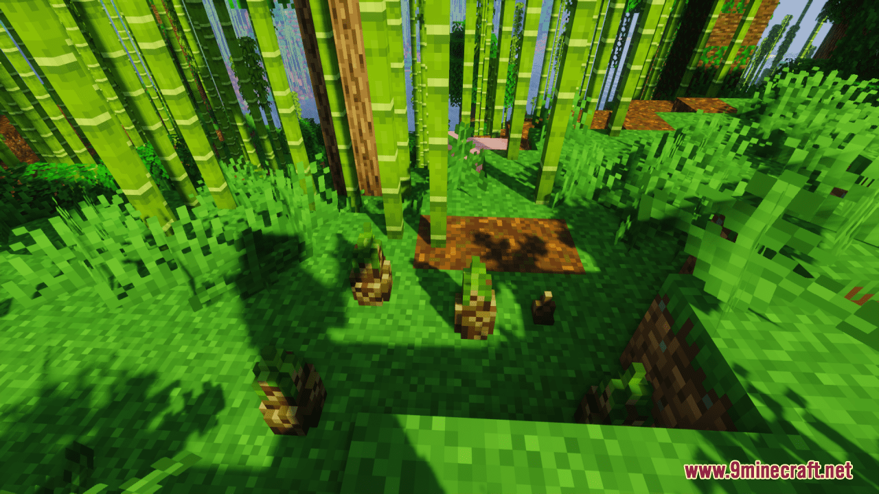 3D Bamboo Shoots Resource Pack (1.20.6, 1.20.1) - Texture Pack 7