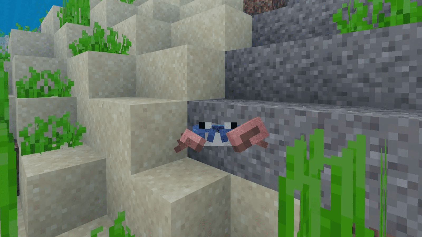 Crab Addon (1.20) - Minecraft Mob Vote 2023 6