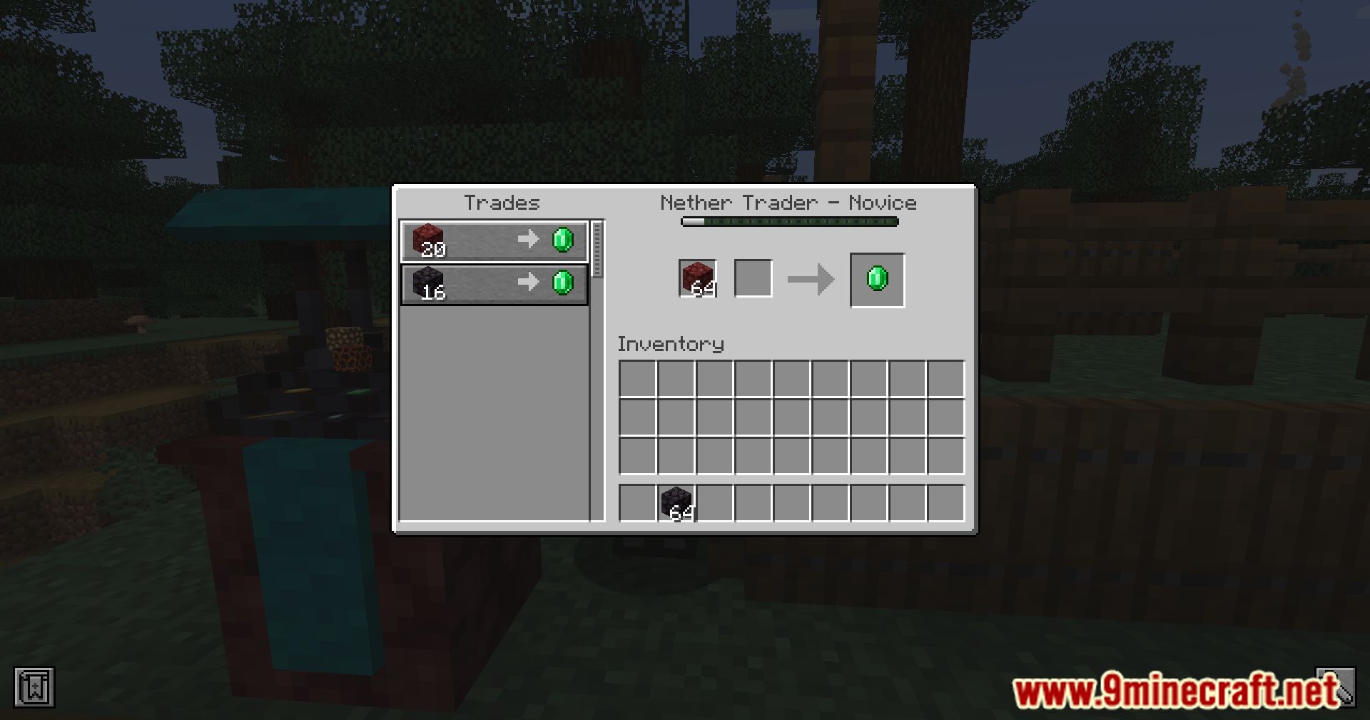 Dimensional Trade Villagers Mod (1.20.2) - Nether Trader And End Trader 14