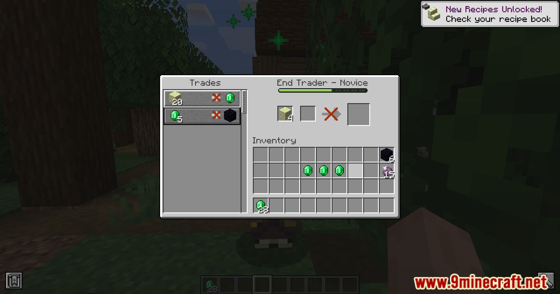 Dimensional Trade Villagers Mod (1.20.2) - Nether Trader And End Trader 8