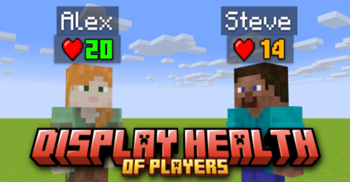 Display Player Health Addon (1.20) - MCPE/Bedrock Script 1