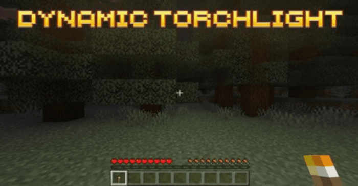 Dynamic Torch Addon (1.20) - MCPE/Bedrock Mod 1