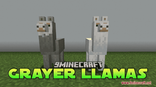 Grayer Llamas Resource Pack (1.20.6, 1.20.1) – Texture Pack Thumbnail