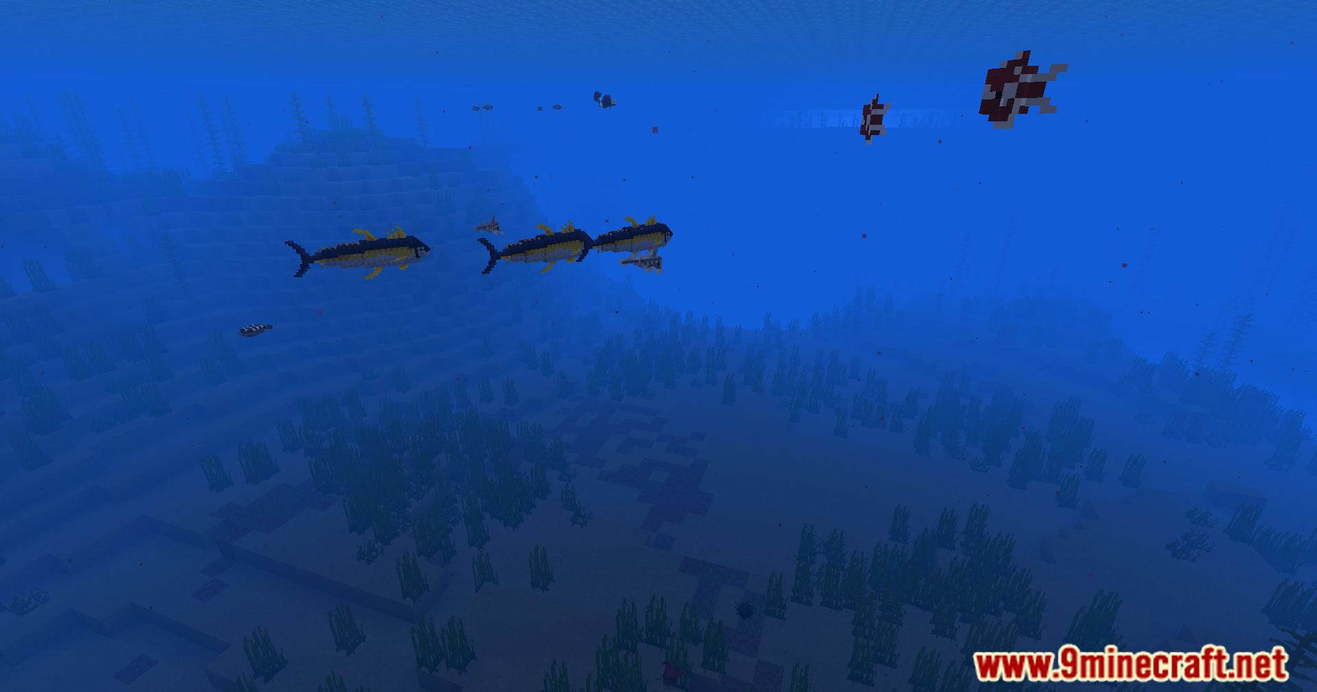 Hybrid Aquatic Mod (1.20.4, 1.19.4) - From Swamps To Sea Caves 13