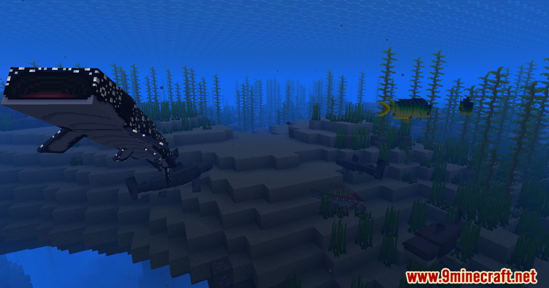 Hybrid Aquatic Mod (1.20.4, 1.19.4) - From Swamps To Sea Caves 14