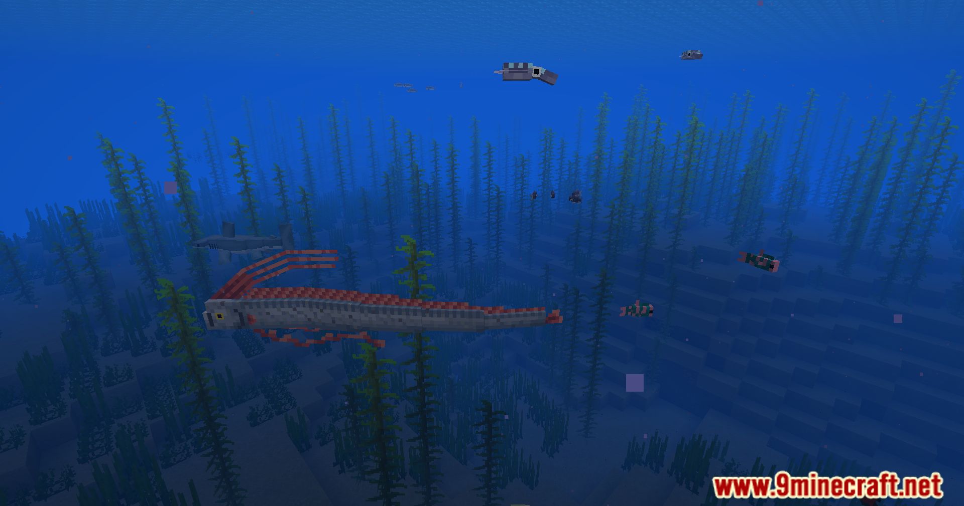 Hybrid Aquatic Mod (1.20.4, 1.19.4) - From Swamps To Sea Caves 3