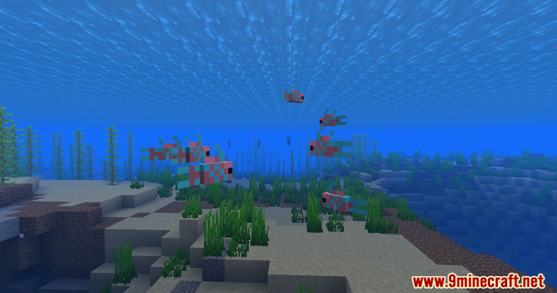 Hybrid Aquatic Mod (1.20.4, 1.19.4) - From Swamps To Sea Caves 6