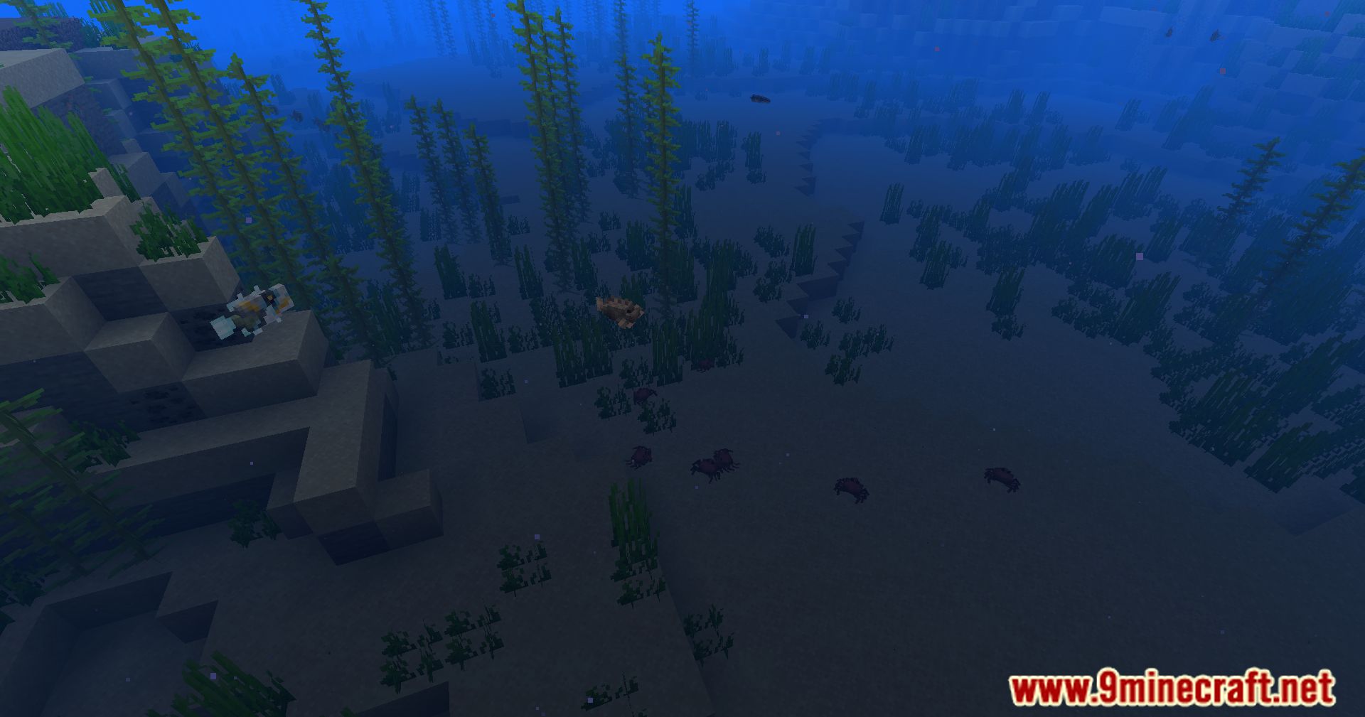 Hybrid Aquatic Mod (1.20.4, 1.19.4) - From Swamps To Sea Caves 9