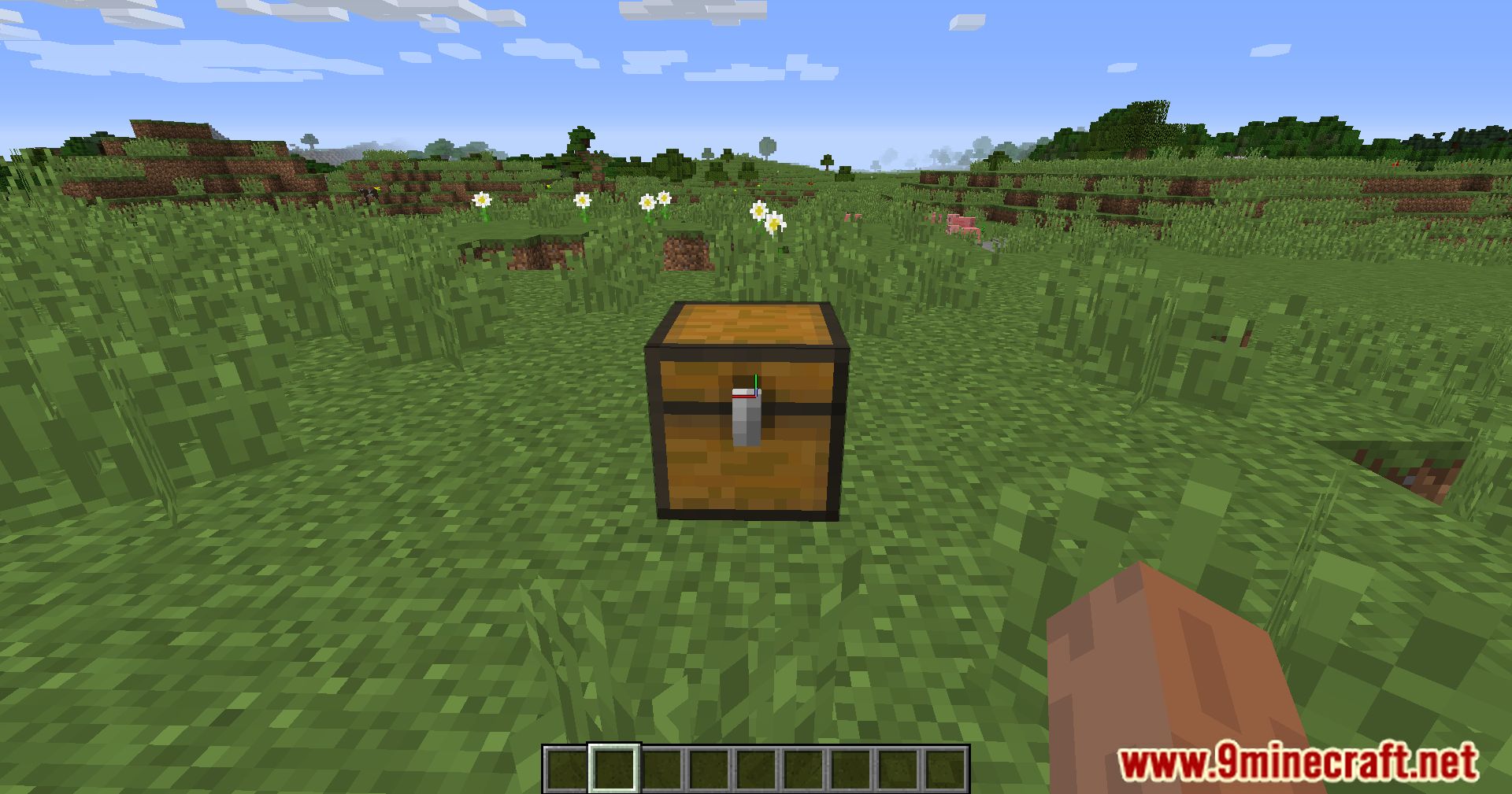 Informational Accessories Mod (1.12.2) - A Guide To Informational Accessories In Minecraft 3