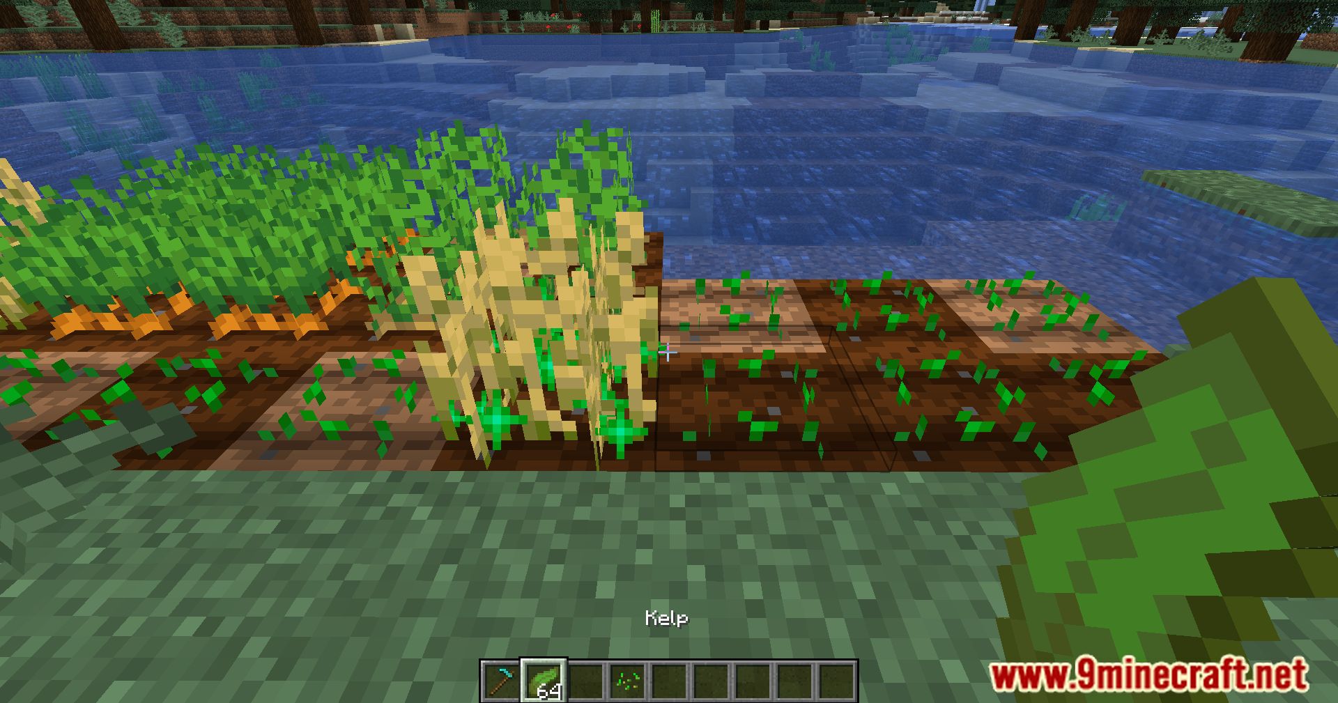 Kelp Fertilizer Mod (1.20.4, 1.19.4) - Farming Efficiency Redefined, Kelp's Role In Minecraft Agriculture 13