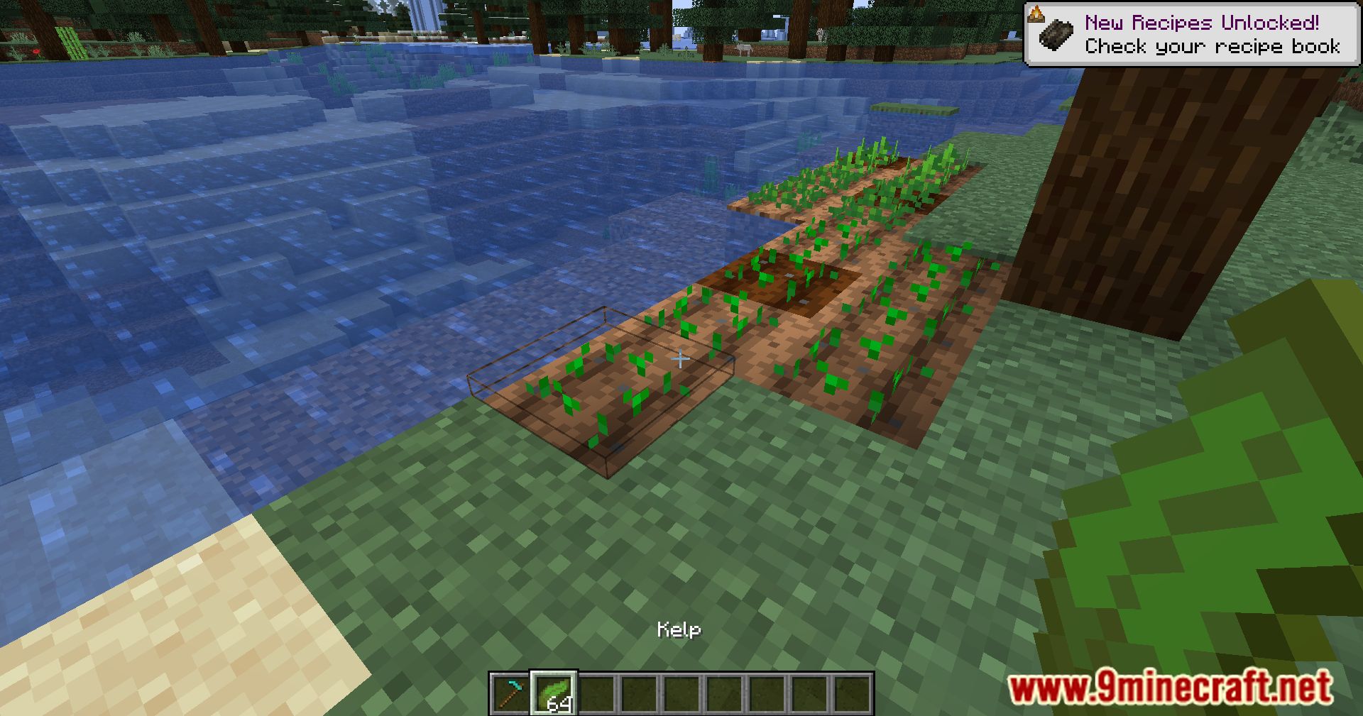 Kelp Fertilizer Mod (1.20.4, 1.19.4) - Farming Efficiency Redefined, Kelp's Role In Minecraft Agriculture 4