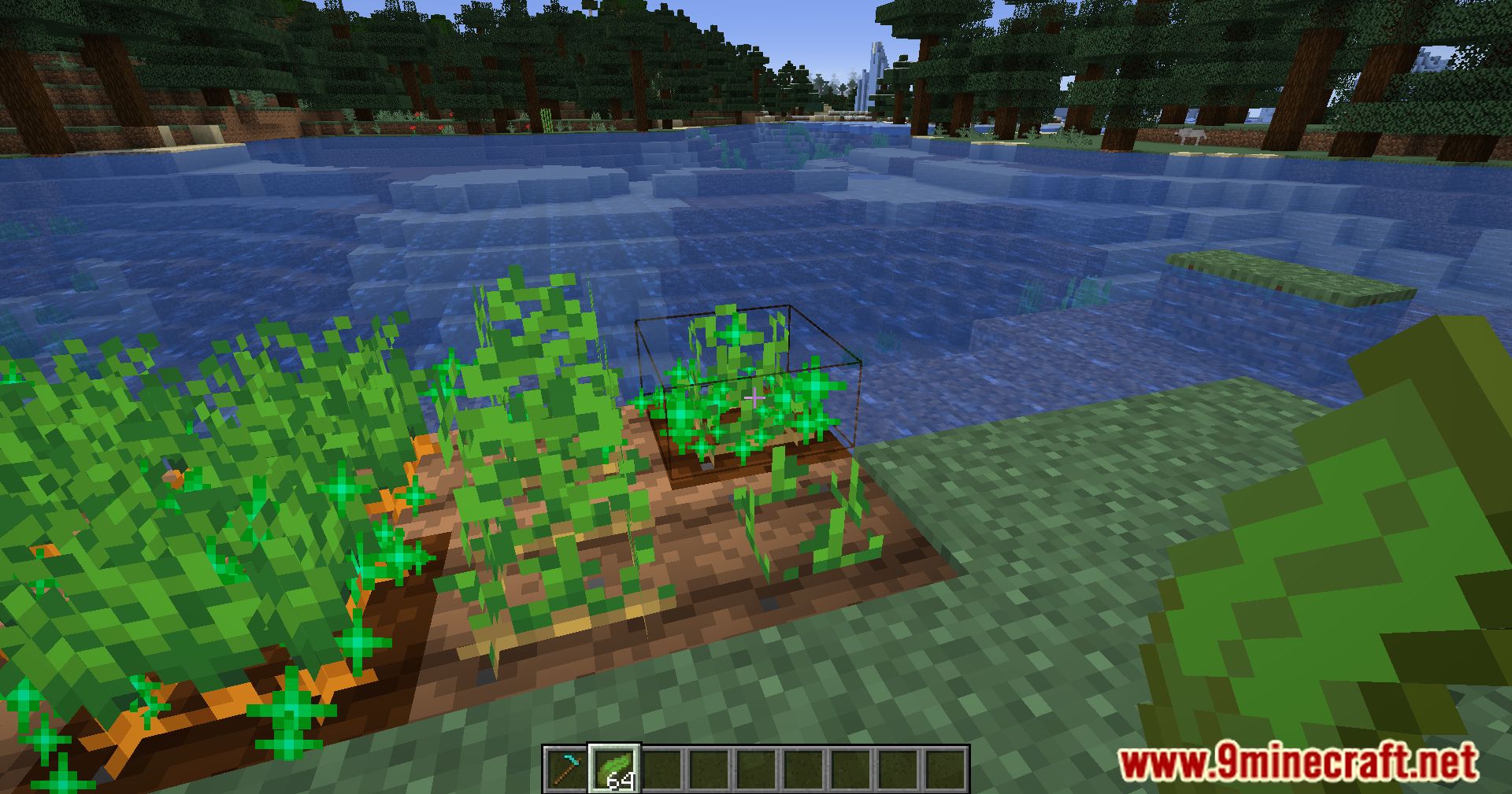 Kelp Fertilizer Mod (1.20.4, 1.19.4) - Farming Efficiency Redefined, Kelp's Role In Minecraft Agriculture 9