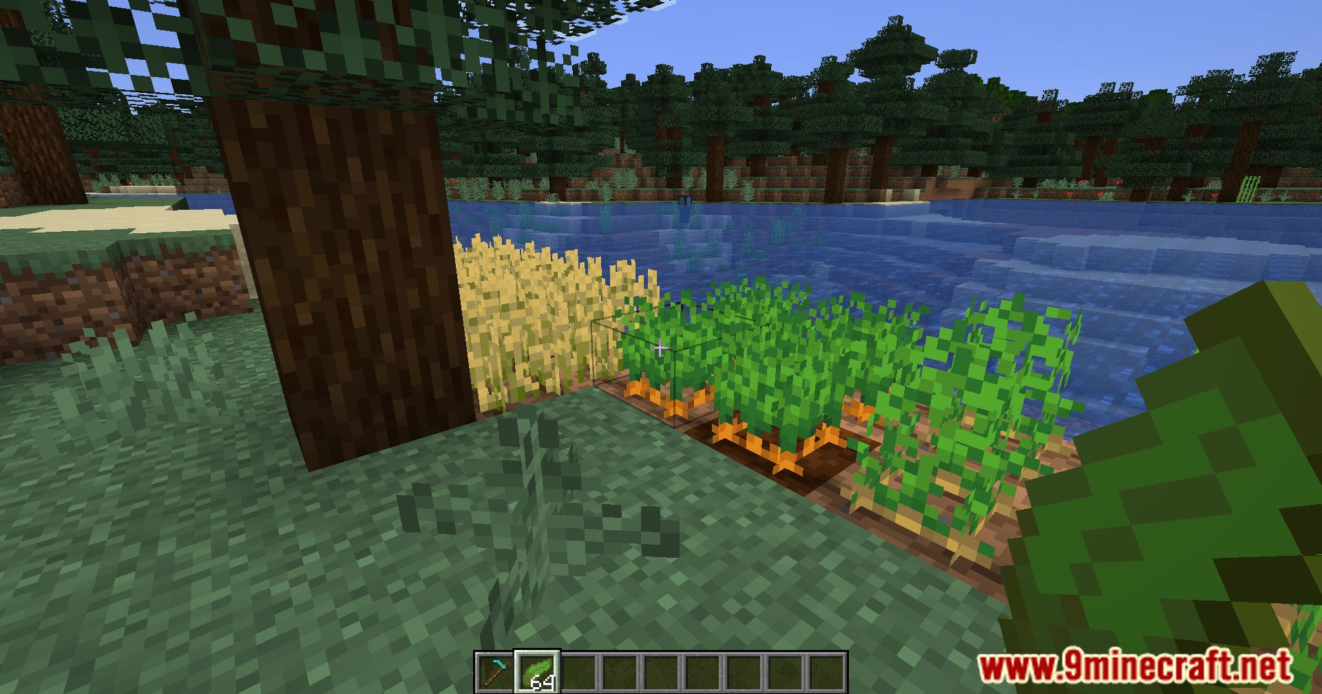 Kelp Fertilizer Mod (1.20.4, 1.19.4) - Farming Efficiency Redefined, Kelp's Role In Minecraft Agriculture 11