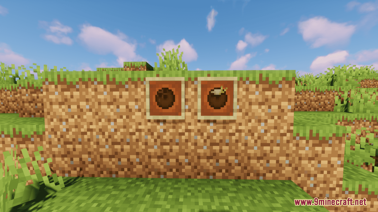 Locos Cocos Resource Pack (1.20.6, 1.20.1) - Texture Pack 9