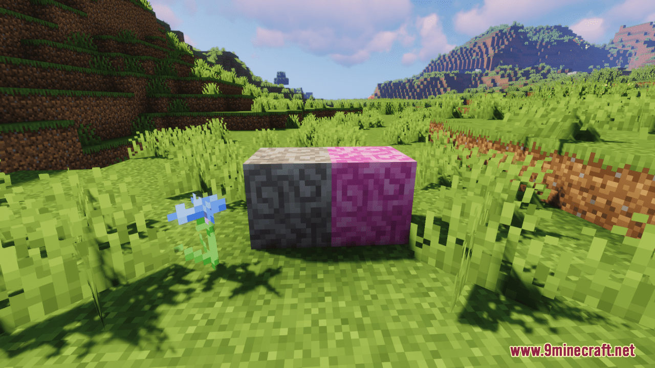 Minecon Corals Resource Pack (1.20.6, 1.20.1) - Texture Pack 7