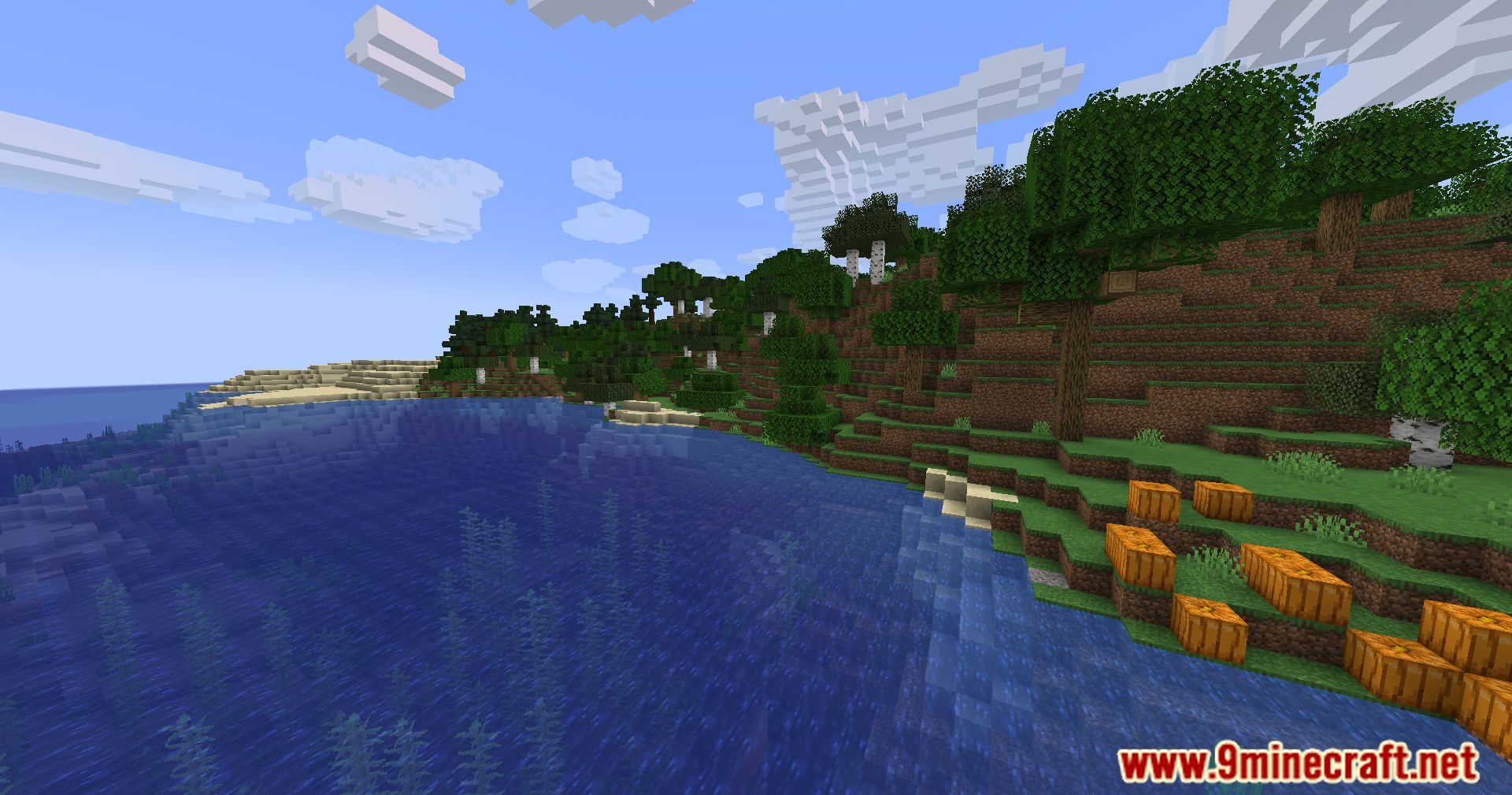 MiniMOTD Mod (1.21.1, 1.20.1) - Color The Minecraft World 6