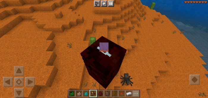 Mod Mount Addon (1.20, 1.19) - MCPE/Bedrock Mod 6