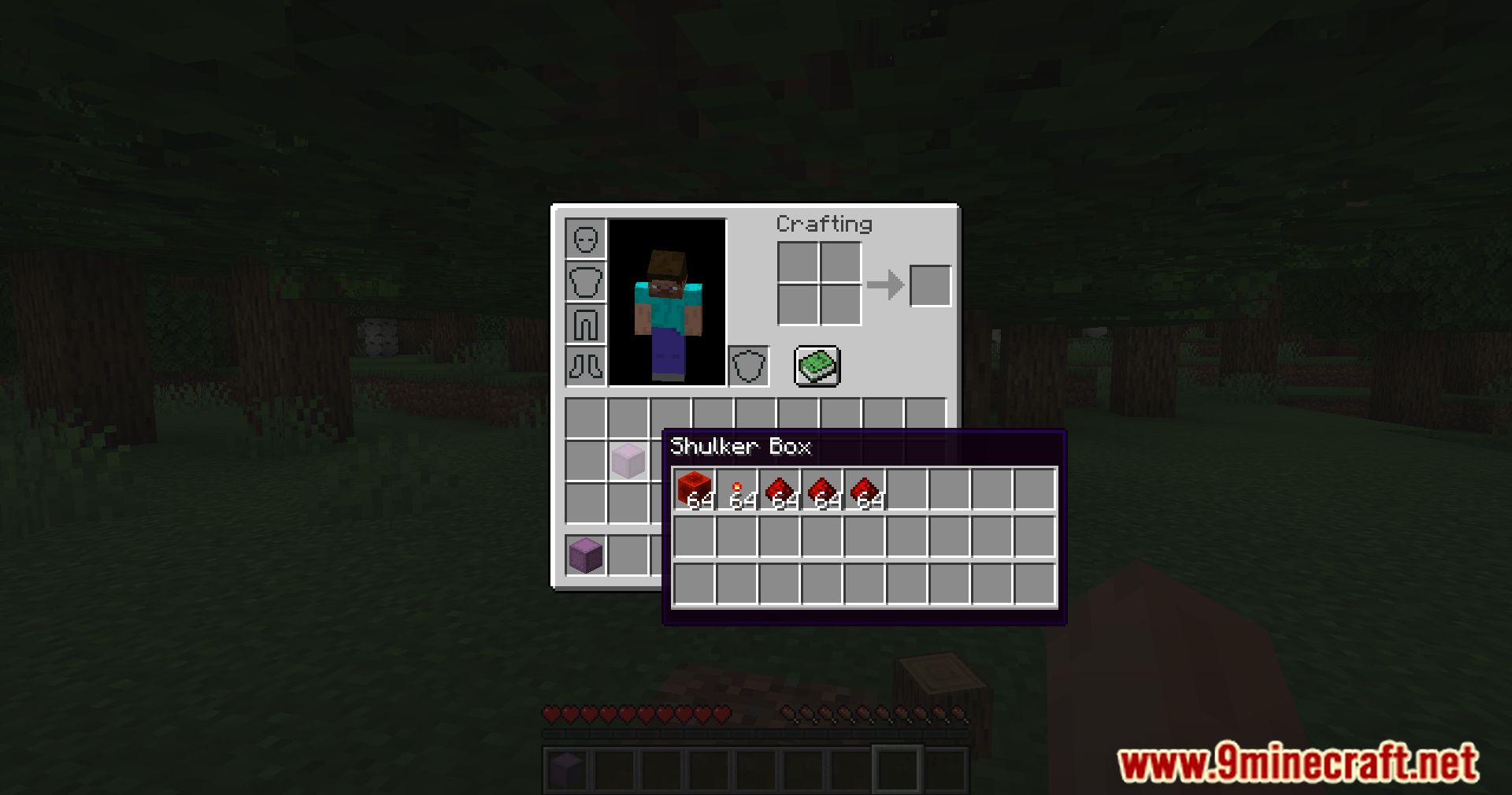 Packed Inventory Mod (1.20.4, 1.19.4) - Simplify Shulker Boxes, Packed Inventory Mod Spotlight!!! 9