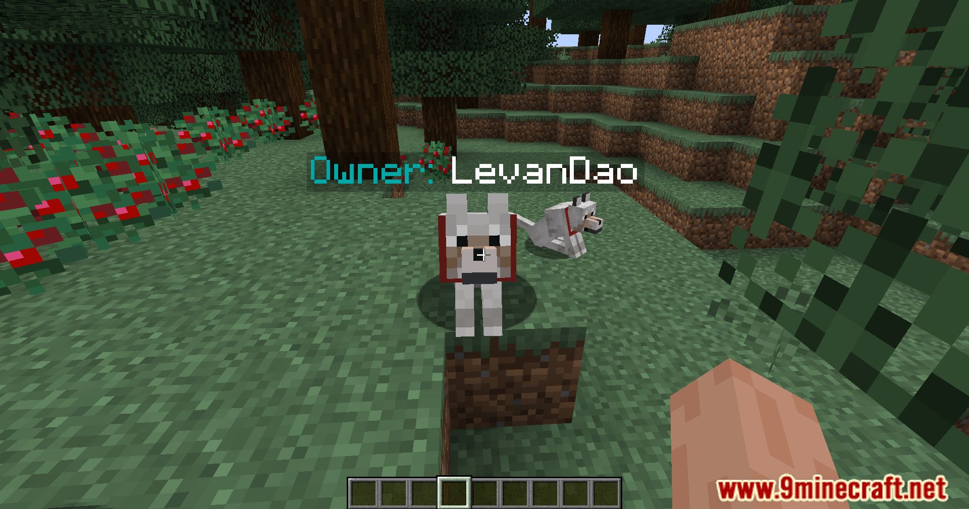 Pet Owner Mod (1.20.4, 1.19.4) - Identify Animal Ownership At A Glance 4