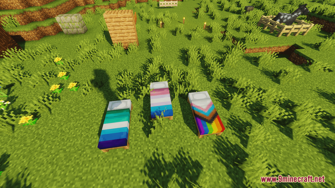 Pride Resource Pack (1.21.1, 1.20.1) - Texture Pack 6