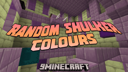 Random Shulker Colours Mod (1.20.4, 1.19.4) – A Pop Of Color In The End Thumbnail