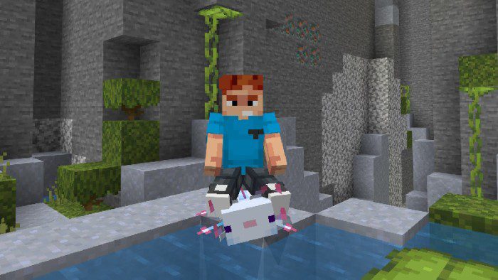 Ride All Vanilla Mobs Addon (1.20, 1.19) - MCPE/Bedrock Mod 4