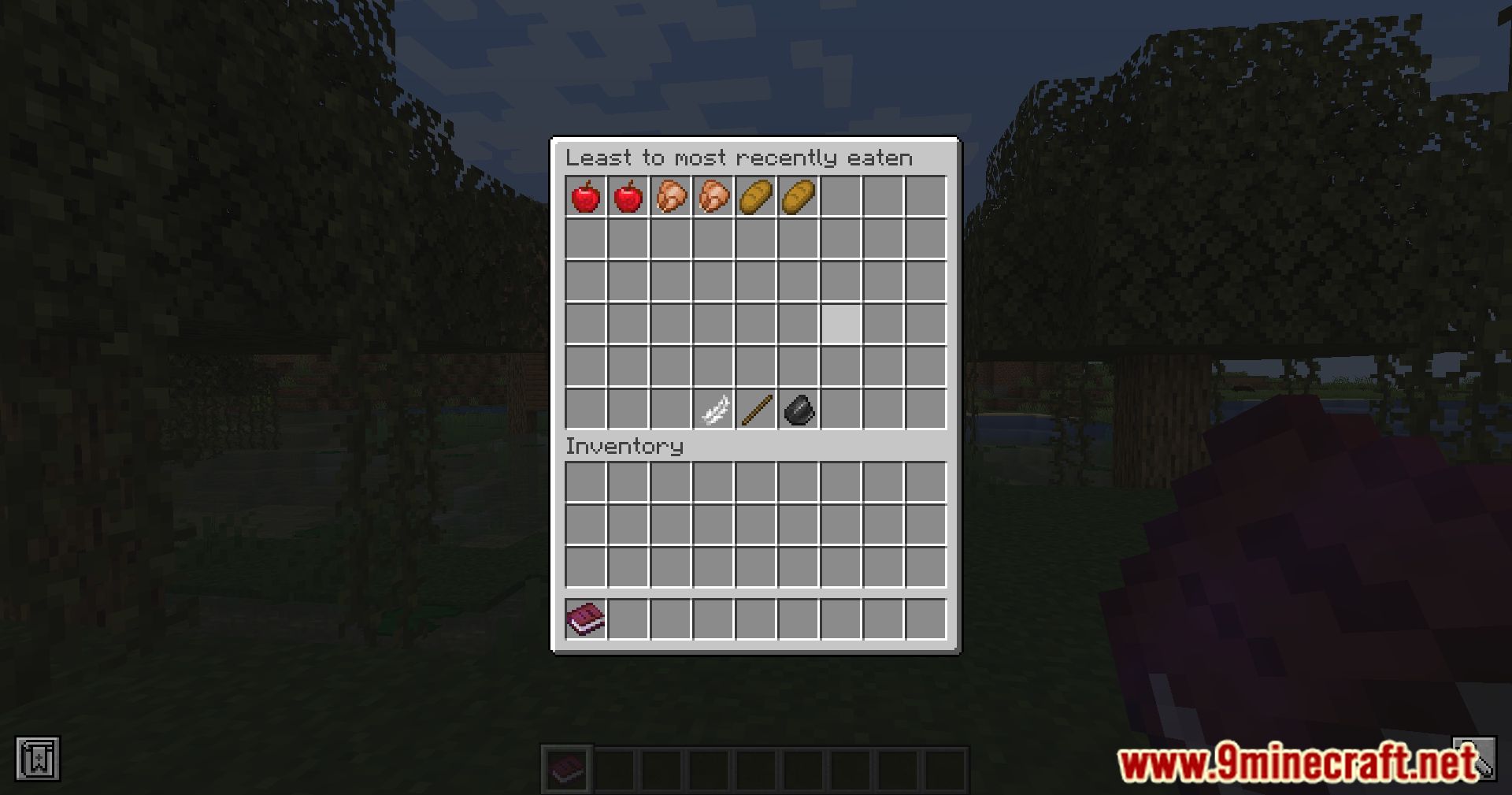 Spice Of Fabric Mod (1.20.4, 1.19.4) - A Flavorful Twist To Your Minecraft Meals 11