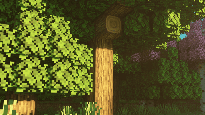 Trees Plus+ Texture Pack (1.21, 1.20) - MCPE/Bedrock Better Trees Pack 5