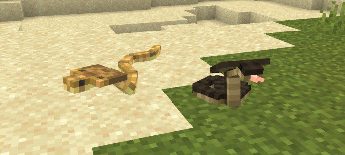 VanillA Animals Addon (1.20) - MCPE/Bedrock Mod 13