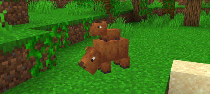 VanillA Animals Addon (1.20) - MCPE/Bedrock Mod 5