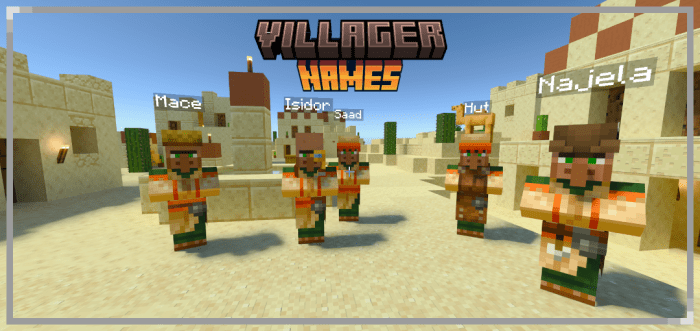 Villager Names Addon (1.20) - MCPE/Bedrock Mod 1