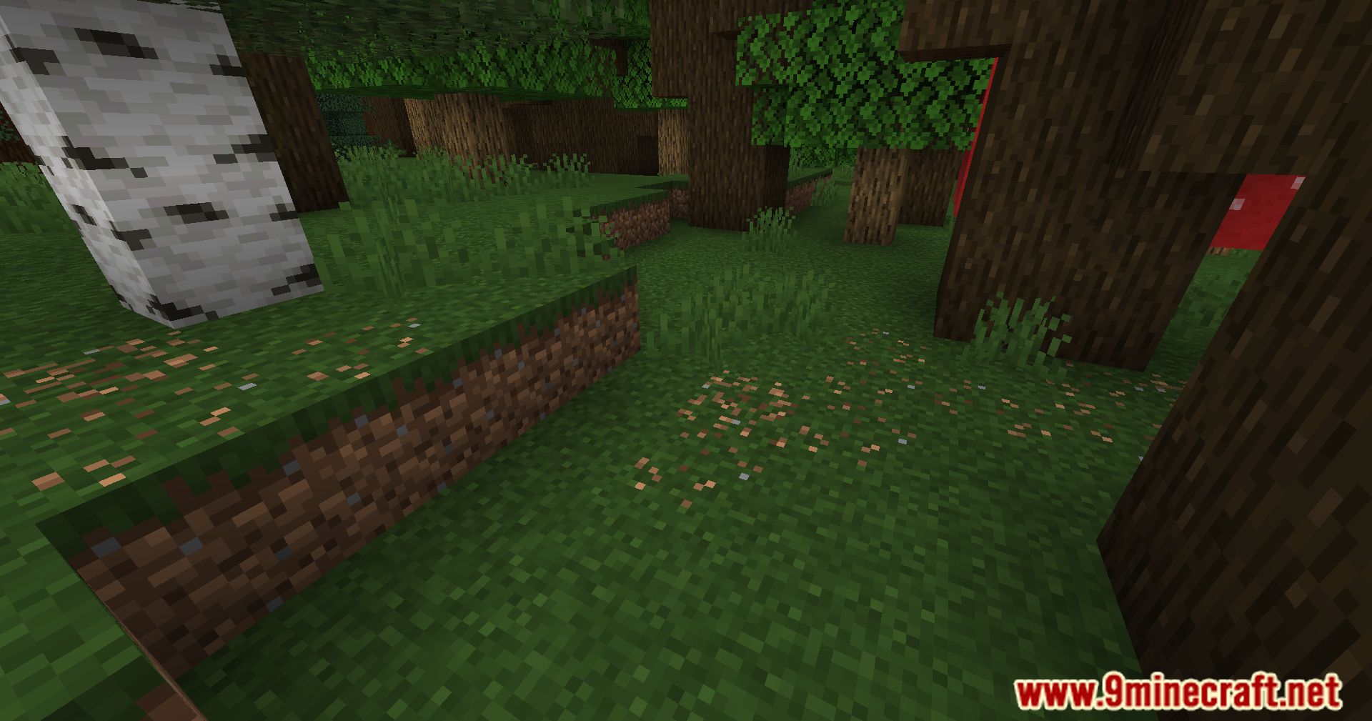 Automatic Path Mod (1.20.4, 1.19.4) - Dynamic Pathways Mod 12