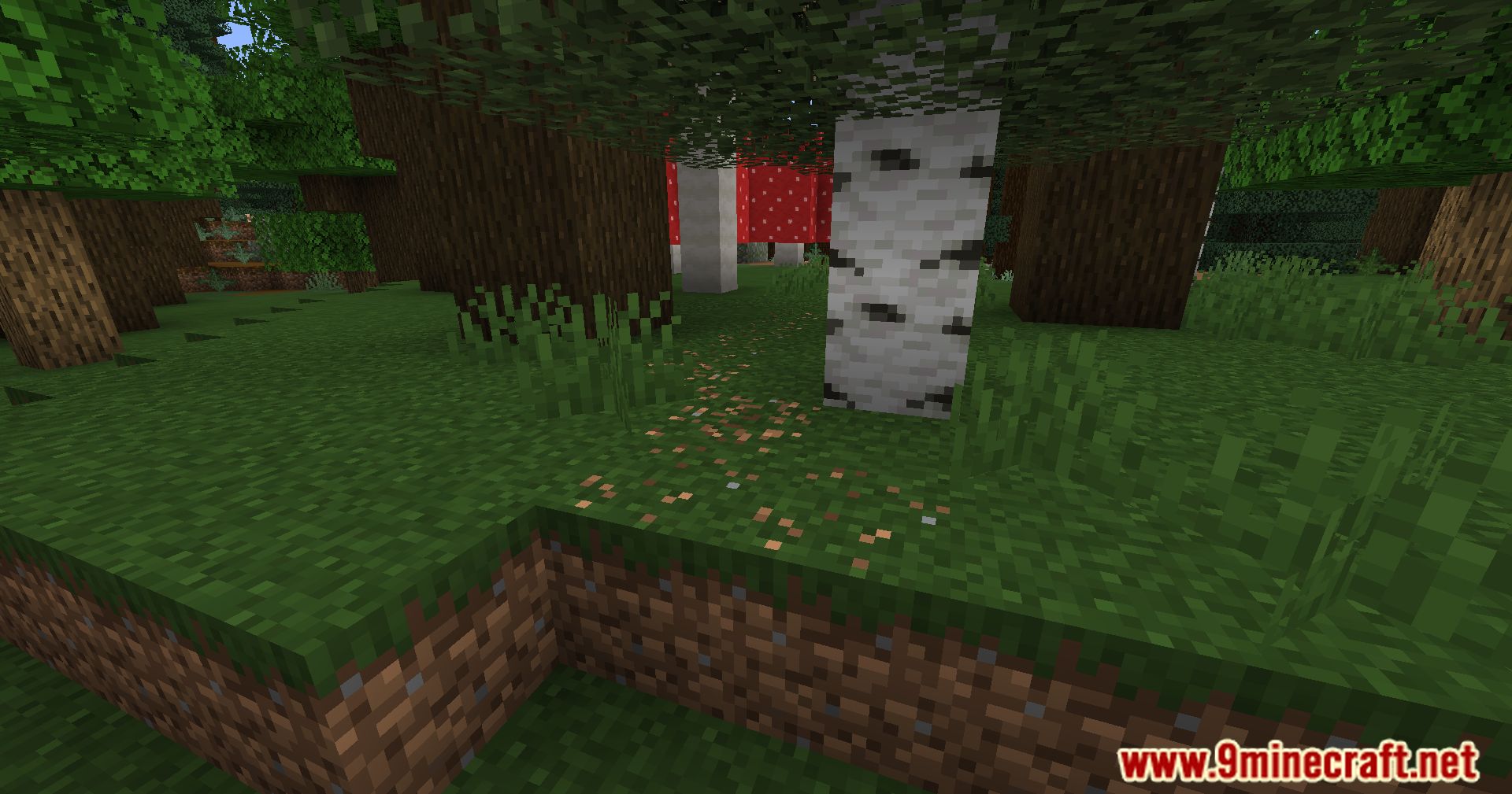 Automatic Path Mod (1.20.4, 1.19.4) - Dynamic Pathways Mod 13