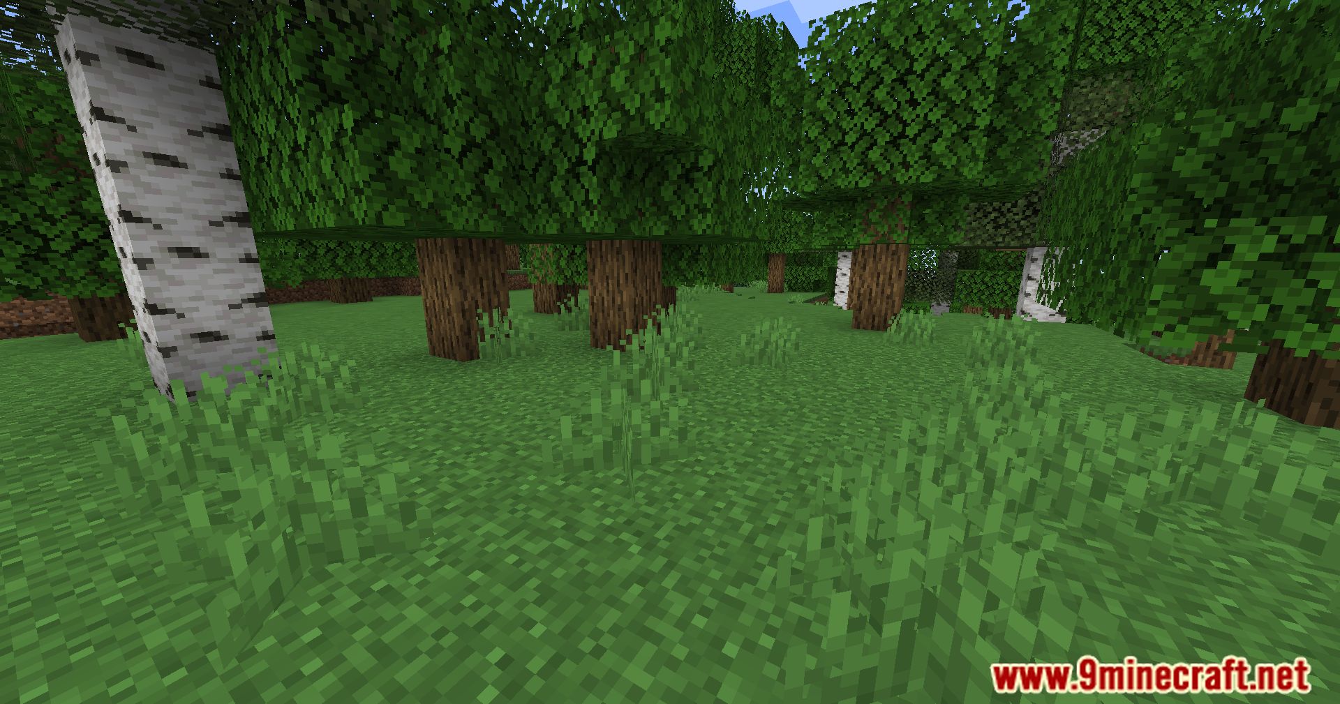 Automatic Path Mod (1.20.4, 1.19.4) - Dynamic Pathways Mod 3