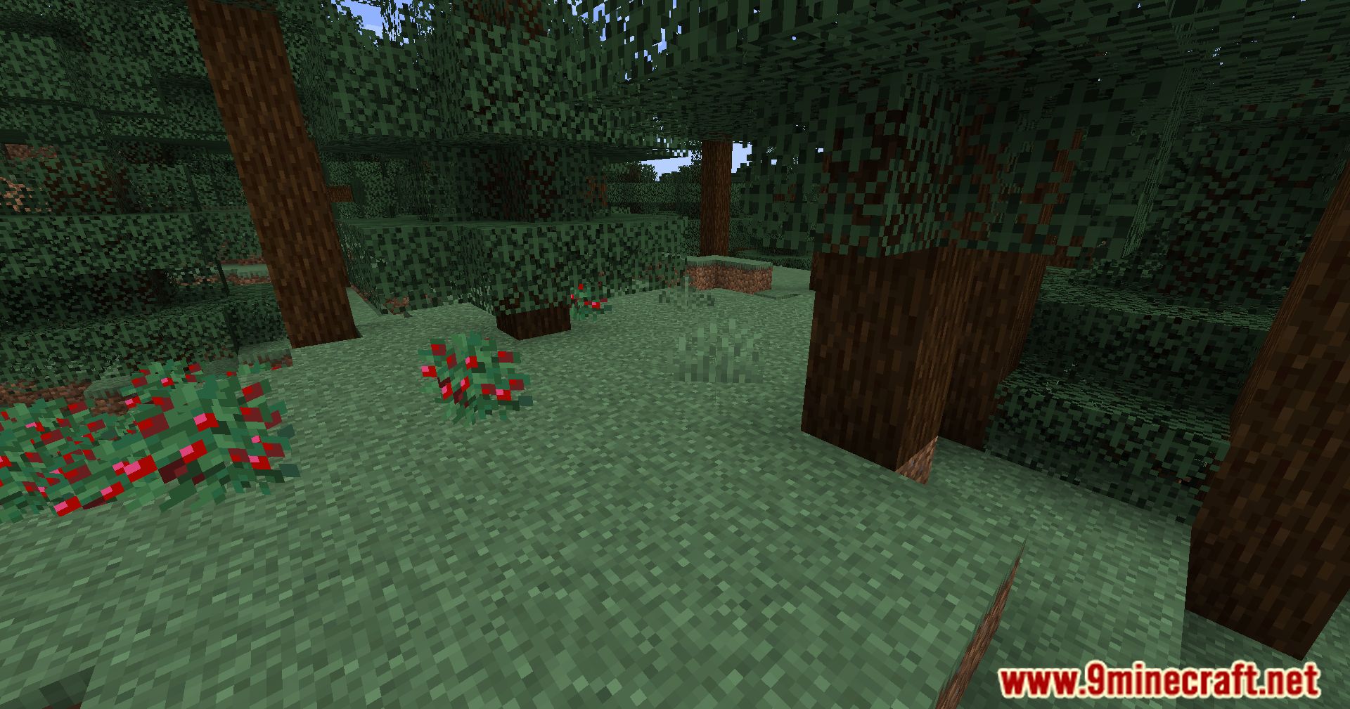 Automatic Path Mod (1.20.4, 1.19.4) - Dynamic Pathways Mod 6