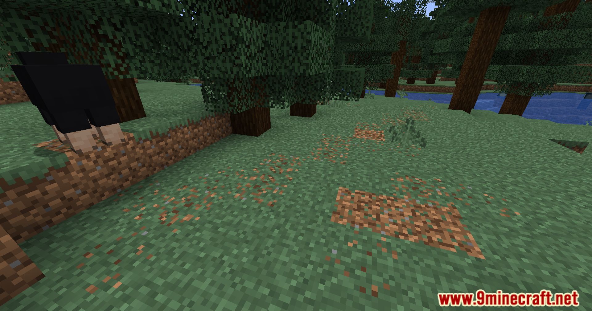 Automatic Path Mod (1.20.4, 1.19.4) - Dynamic Pathways Mod 8