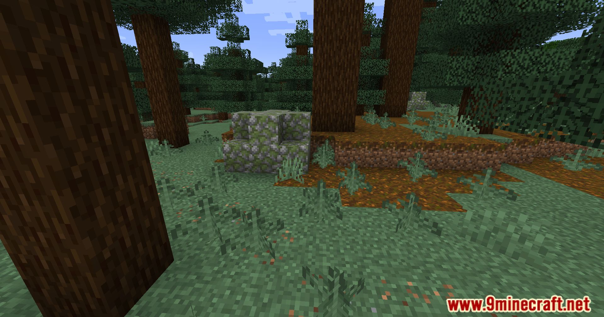 Automatic Path Mod (1.20.4, 1.19.4) - Dynamic Pathways Mod 11