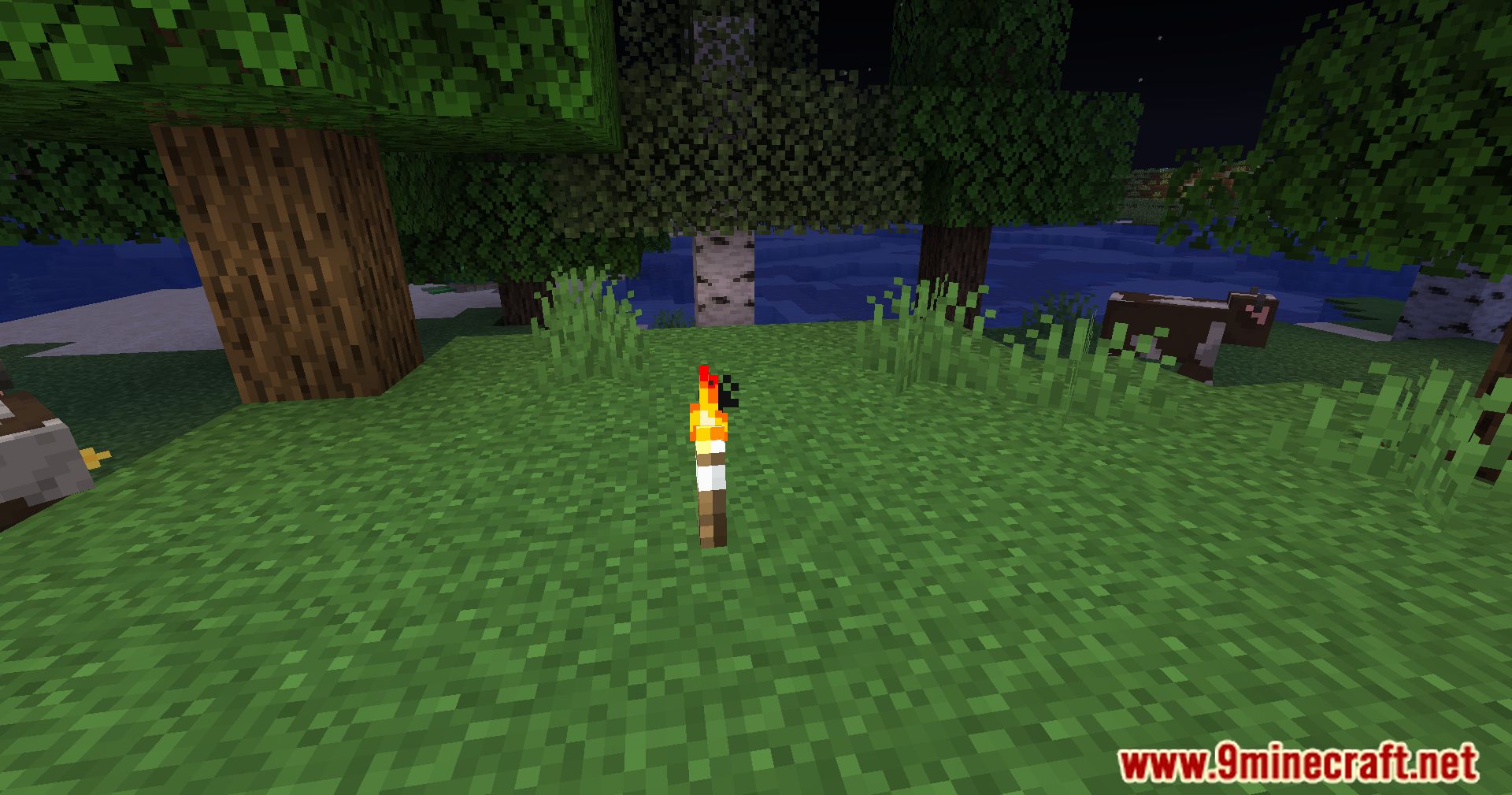 Banded Torches Mod (1.20.4, 1.19.4) - The Power Of Colors 4