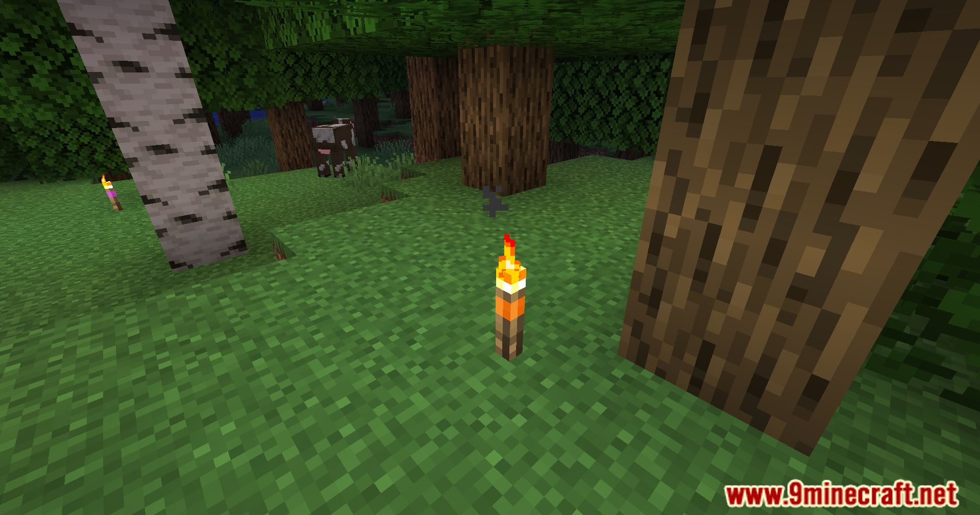 Banded Torches Mod (1.20.4, 1.19.4) - The Power Of Colors 5