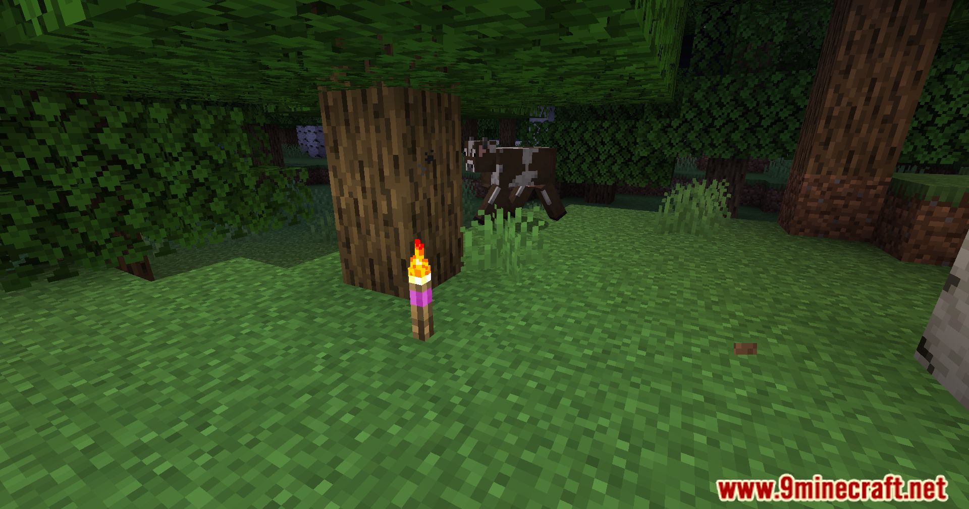 Banded Torches Mod (1.20.4, 1.19.4) - The Power Of Colors 6