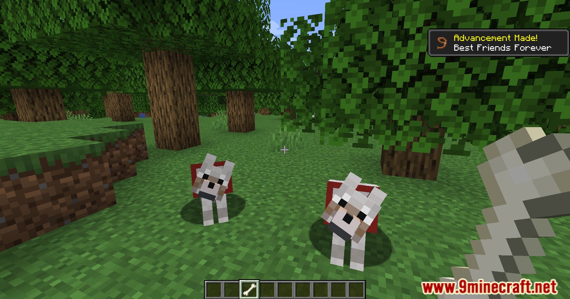 Doggo Mod Overhauled Mod (1.20.2, 1.19.4) - Furry Friends Unleashed 3