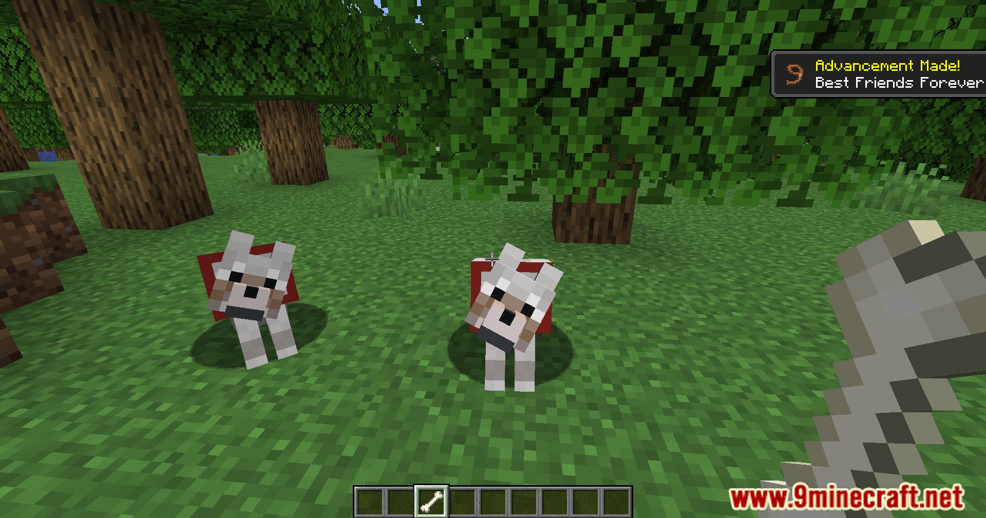 Doggo Mod Overhauled Mod (1.20.2, 1.19.4) - Furry Friends Unleashed 4