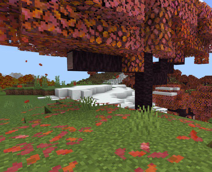 Fall Colors Texture Pack (1.20) - MCPE/Bedrock 10