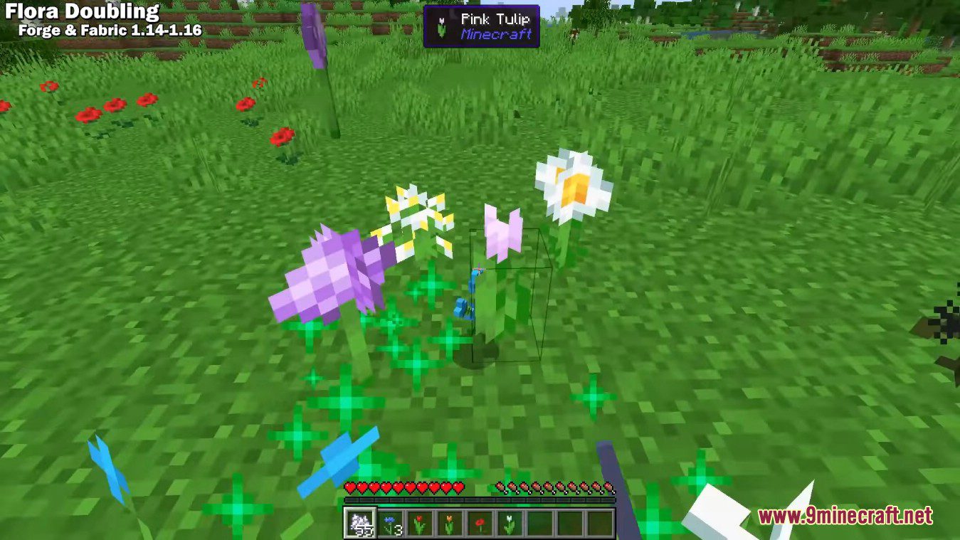 Flourish Mod (1.21.1, 1.20.1) - Use Bonemeal to Spread Small Flowers 11