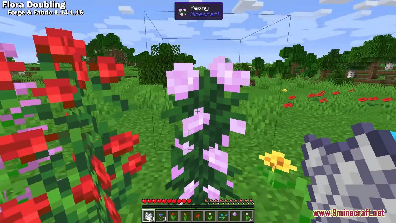 Flourish Mod (1.21.1, 1.20.1) - Use Bonemeal to Spread Small Flowers 12