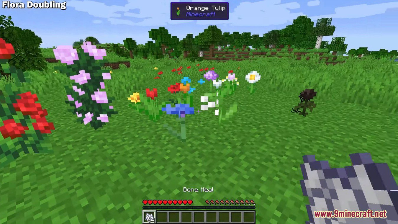 Flourish Mod (1.21.1, 1.20.1) - Use Bonemeal to Spread Small Flowers 9