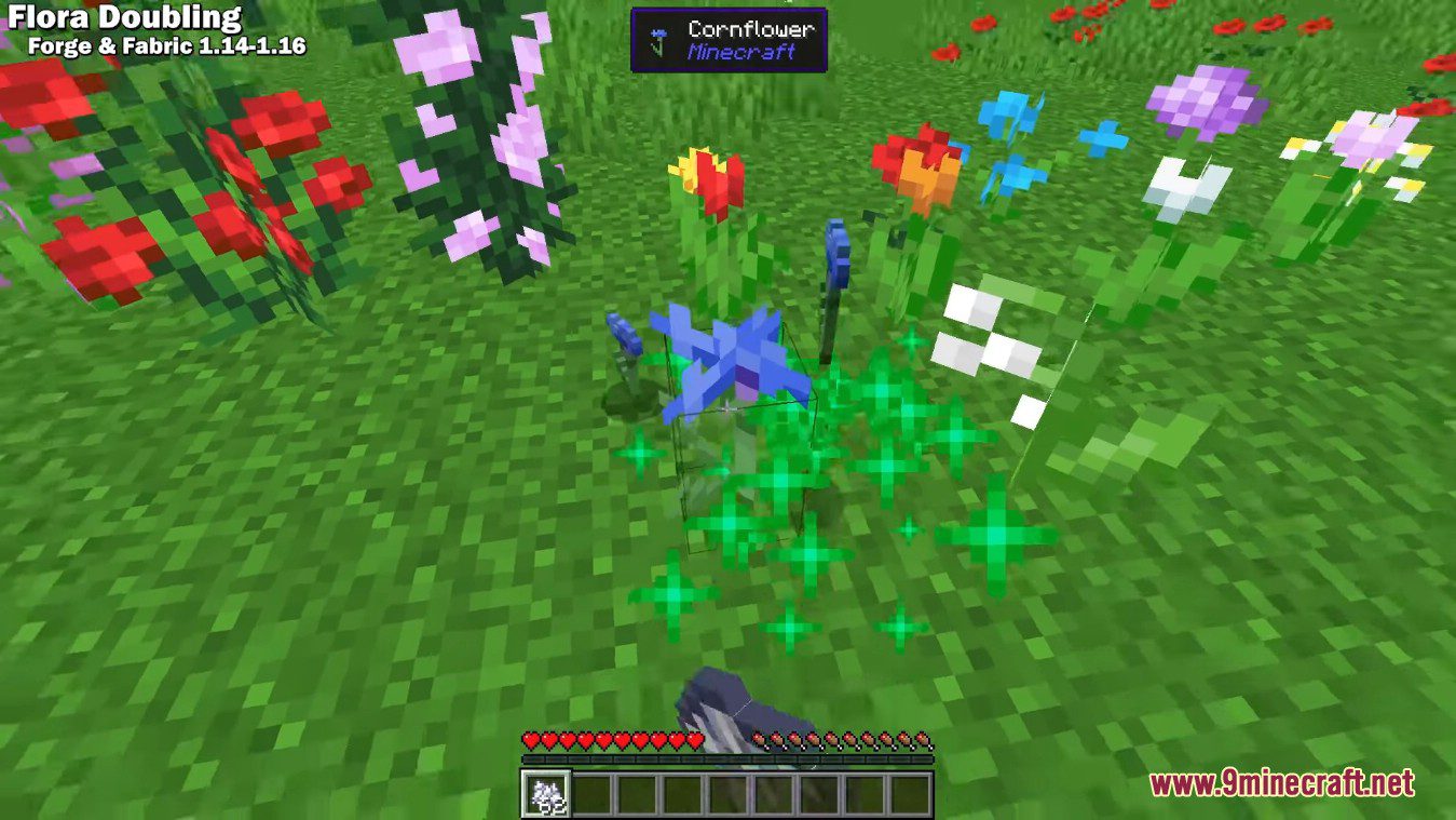 Flourish Mod (1.21.1, 1.20.1) - Use Bonemeal to Spread Small Flowers 10