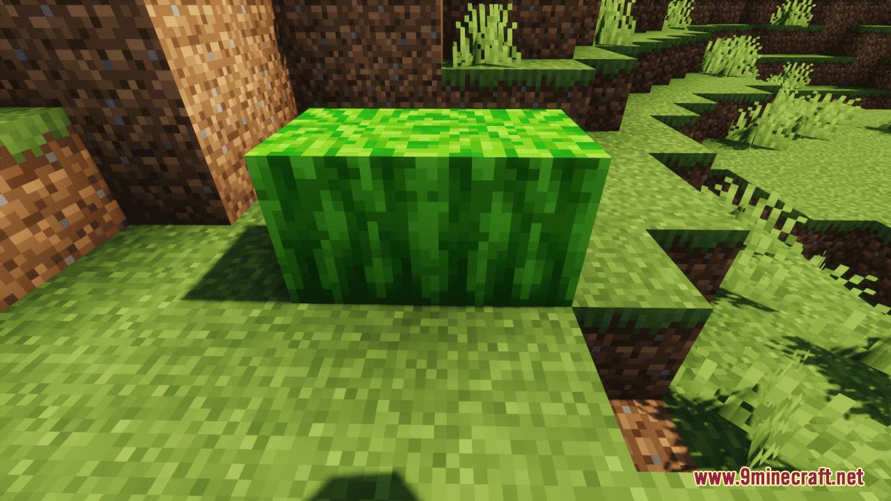 Future Melons Resource Pack (1.20.6, 1.20.1) - Texture Pack 12