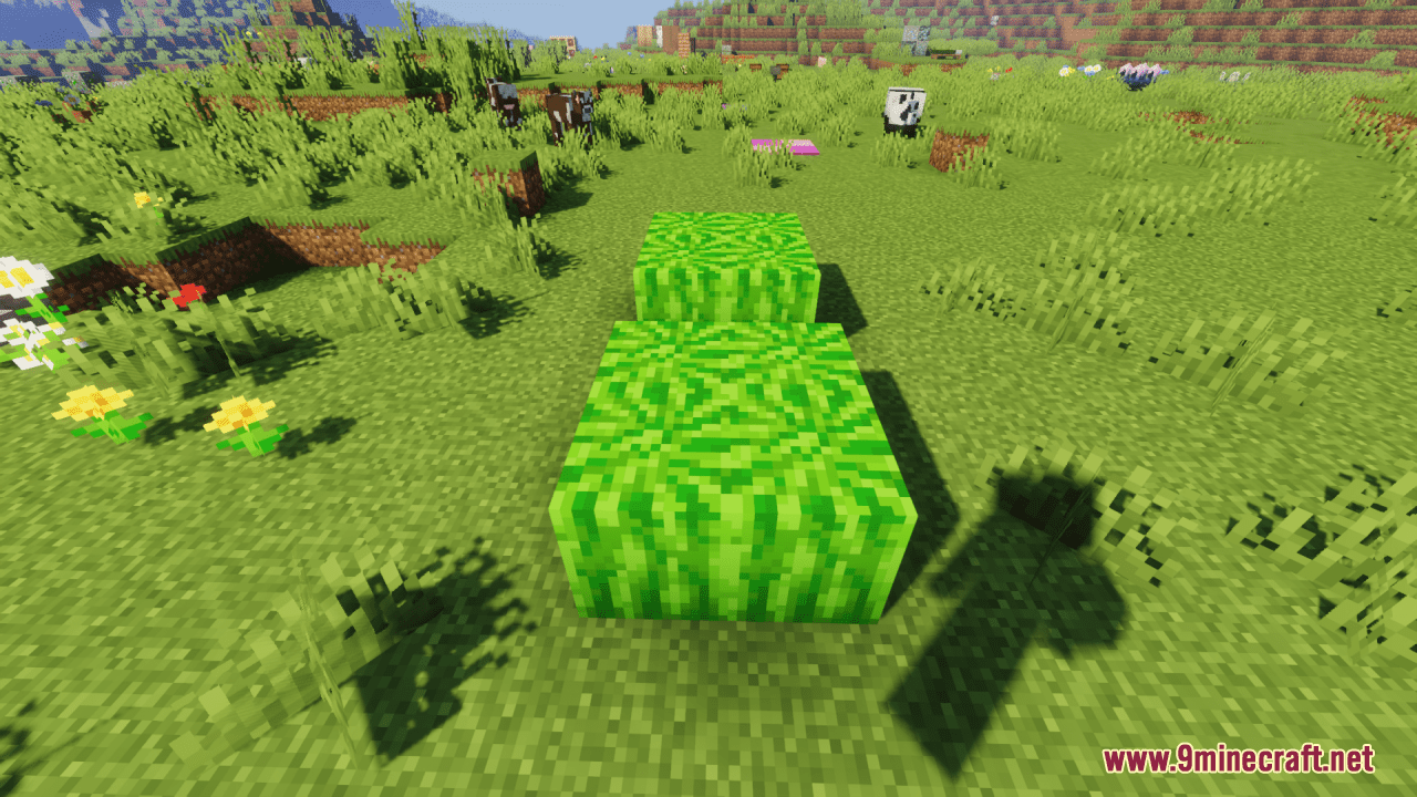 Future Melons Resource Pack (1.20.6, 1.20.1) - Texture Pack 10