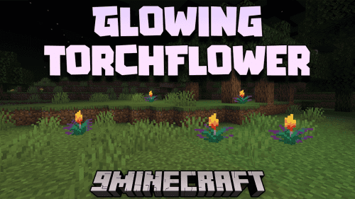 Glowing Torchflower Mod (1.21, 1.20.1) – Illuminating The Blooms Thumbnail
